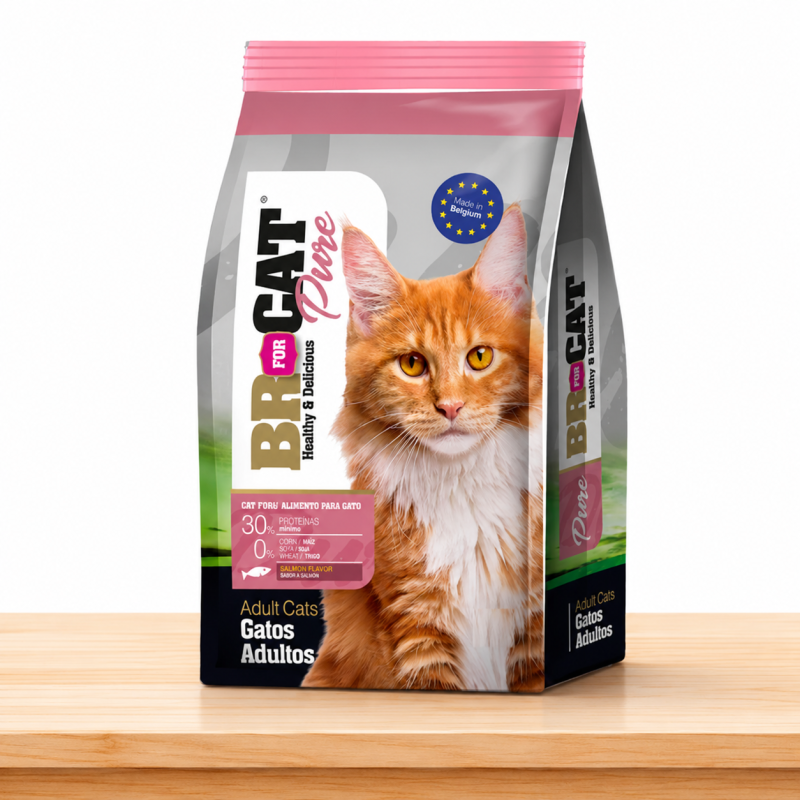 BR FOR CAT ADULTO SALMON _ TAMAÑO X 3 KG