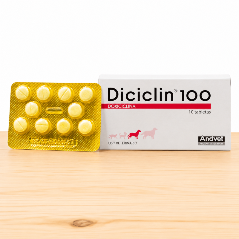 DICICLIN 100 MG _ TAMAÑO X UND