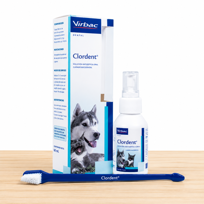CLORDENT SPRAY X 120 ML - MAS CEPILLO