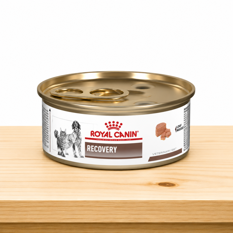 ROYAL CANIN RECOVERY LATA X 5.1 ONZ (145GR)
