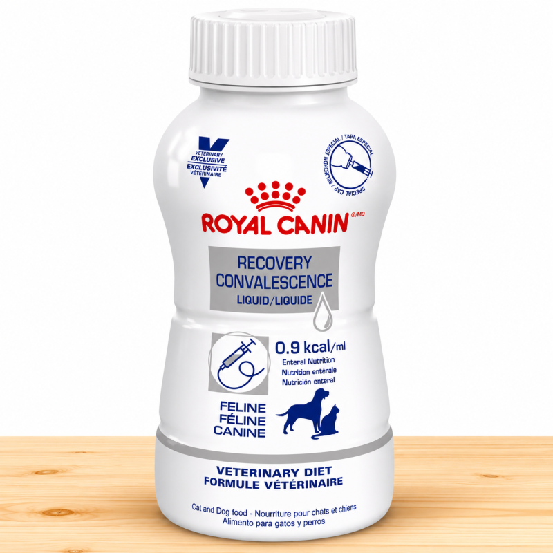 ROYAL CANIN RECOVERY LIQUIDO X 8 ONZ (237 ML)