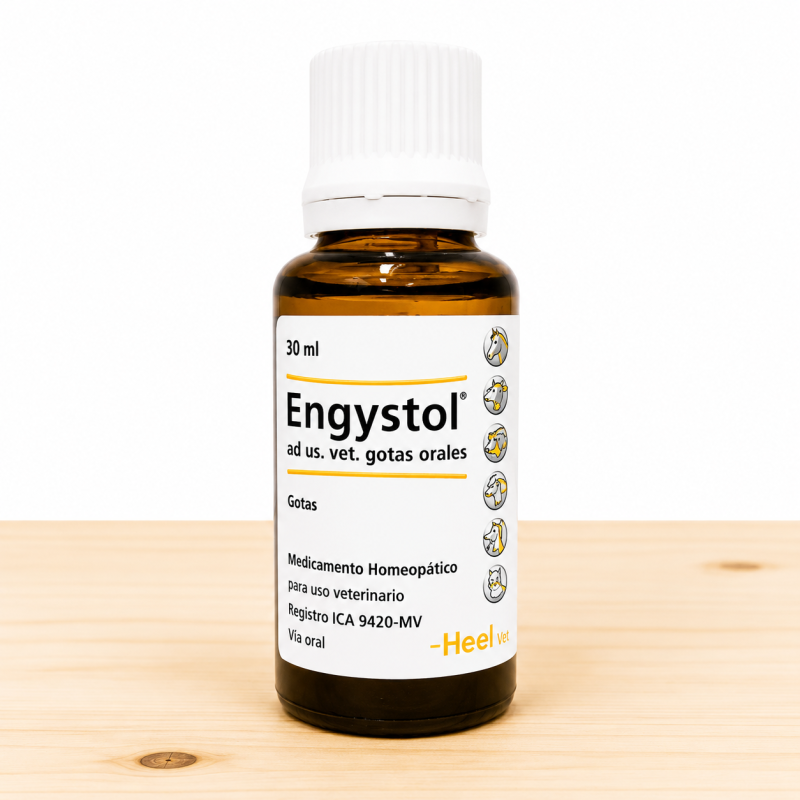 ENGYSTOL GOTAS X 30 ML